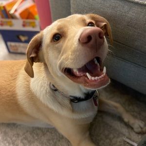 Meet your Posher, Patrick